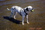 Molly